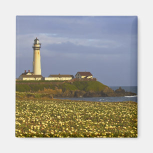 Aimant Phare de Pigeon Point State Beach à San