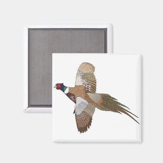 Aimant Pheasant (Recto/Verso)