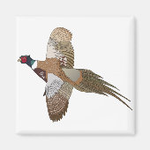 Aimant Pheasant (Devant)