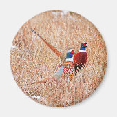 Aimant Phéasants à col rond (Devant)