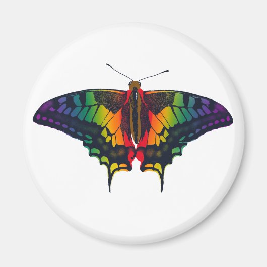 Aimant Philadelphie Rainbow Pride Flag Swallowtail (Devant)