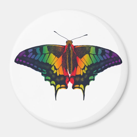 Aimant Philadelphie Rainbow Pride Flag Swallowtail (Devant)