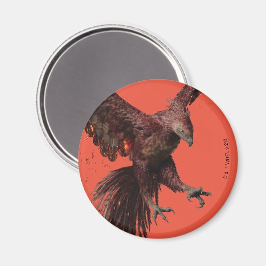 Aimant Phoenix Flying Graphic (Recto/Verso)