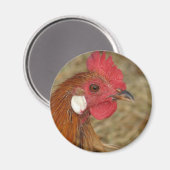 Aimant Phoenix Rooster (Recto/Verso)