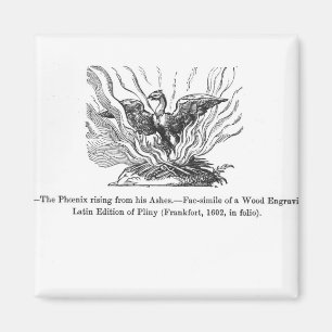 Aimant Phoenix se levant de ses cendres