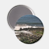 Aimant Phoques (Recto/Verso)