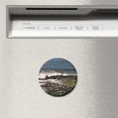 Aimant Phoques (In Situ (Lave-vaisselle))