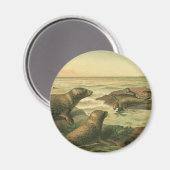 Aimant Phoques léopards, Animaux aquatiques Vintages Vie (Recto/Verso)