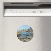 Aimant Phoques Sur Sable À La Jolla Cove (In Situ (Lave-vaisselle))