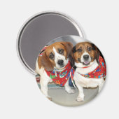 Aimant Photo Beagle de l'abri (Recto/Verso)
