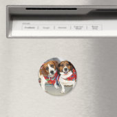Aimant Photo Beagle de l'abri (In Situ (Lave-vaisselle))