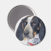 Aimant Photo Bluetick Coonhound (Recto/Verso)