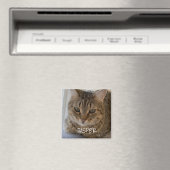 Aimant Photo Cat (In Situ (Lave-vaisselle))