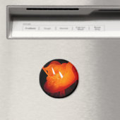 Aimant Photo : CHG (In Situ (Lave-vaisselle))