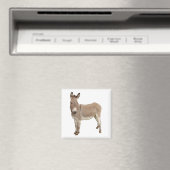 Aimant Photo de Burro à Donkey Cute (In Situ (Lave-vaisselle))