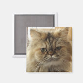 AIMANT PHOTO DE CHAT PERSONNALISÉE (Recto/Verso)