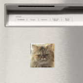 AIMANT PHOTO DE CHAT PERSONNALISÉE (In Situ (Lave-vaisselle))