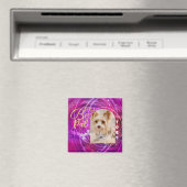 Aimant Photo de chien de compagnie rayonnant Mangenta (In Situ (Lave-vaisselle))