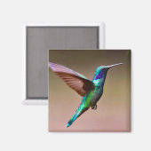 Aimant Photo de colibri vert de la faune (Recto/Verso)