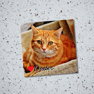 Aimant Photo de compagnie personnalisé pour chien et chat