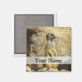Aimant Photo de Cute meerkat (Recto/Verso)
