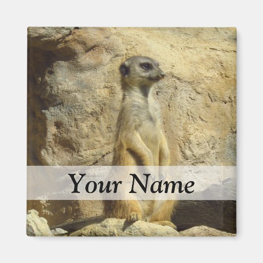 Aimant Photo de Cute meerkat (Devant)