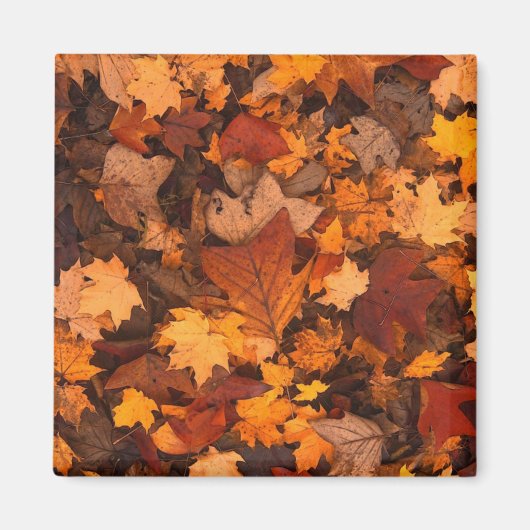 Aimant Photo de feuilles d'automne (Devant)