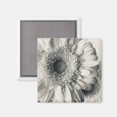 Aimant Photo de fleur de marguerite noir blanc (Recto/Verso)