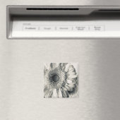 Aimant Photo de fleur de marguerite noir blanc (In Situ (Lave-vaisselle))