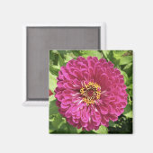 Aimant Photo de fleur de Zinnia vive (Recto/Verso)
