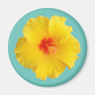Aimant Photo de fleur d'Hibiscus jaune