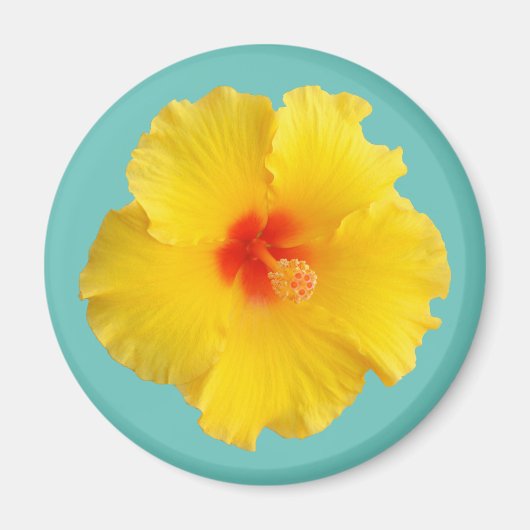 Aimant Photo de fleur d'Hibiscus jaune (Devant)