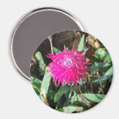 Aimant photo de fleur Fuchsia (Recto/Verso)