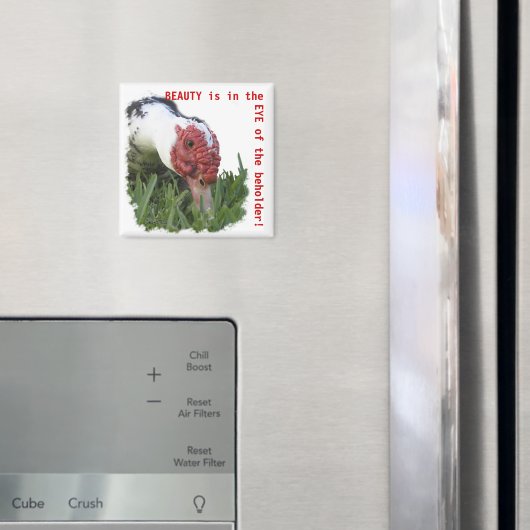 Aimant Photo de fond de l'oeil du canard (In situ (réfrigérateur))