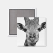 Aimant Photo de girafe noir et blanc (Recto/Verso)