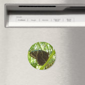 Aimant Photo de la nature du papillon bleu Morpho (In Situ (Lave-vaisselle))