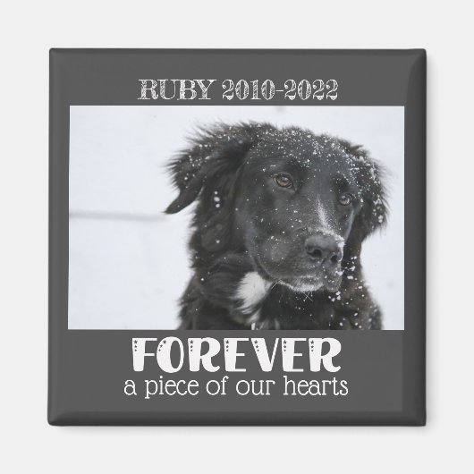 Aimant Photo de la sympathie de la mémoire des animaux de (Devant)