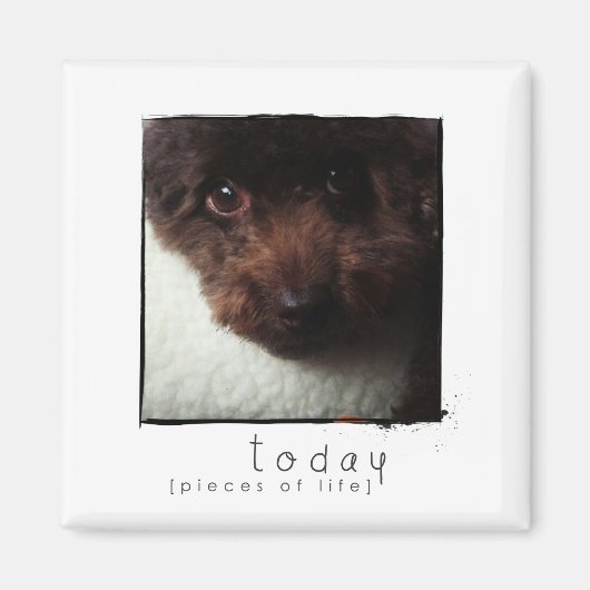 aimant photo de l'ami instagram (Devant)