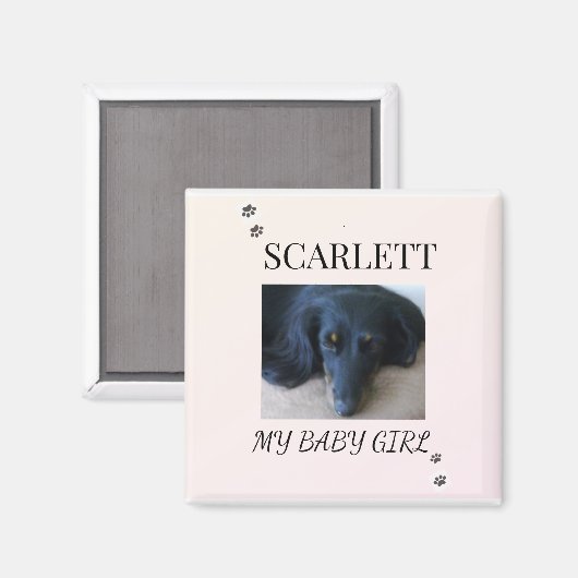 Aimant Photo de l'animal de compagnie Soft Blush avec des (Recto/Verso)