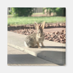 Aimant photo de lapin de Pâques printemps