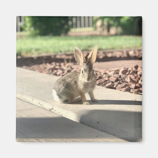 Aimant photo de lapin de Pâques printemps (Devant)