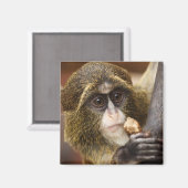 Aimant Photo de l'arbre de l'Escalade singe (Recto/Verso)