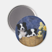 Aimant Photo de marionnette (Recto/Verso)