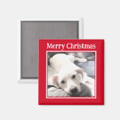 Aimant Photo de mignon chien Joyeux Noël rouge (Recto/Verso)
