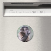 Aimant Photo de singe capucin touffu (In Situ (Lave-vaisselle))