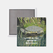 Aimant Photo de tortue de retraite avec réflexion Nature (Recto/Verso)