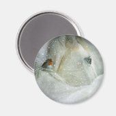 Aimant Photo de White Horse and Bird en hiver (Recto/Verso)