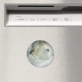 Aimant Photo de White Horse and Bird en hiver (In Situ (Lave-vaisselle))