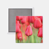 Aimant Photo des Tulipes rouges (Recto/Verso)