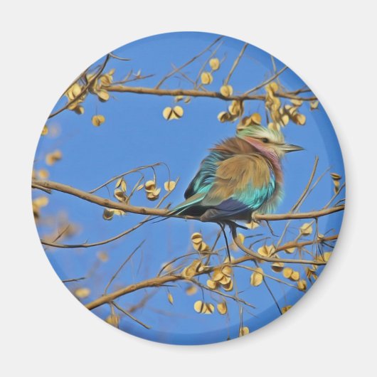 Aimant Photo d'oiseau dans l'arbre (Devant)